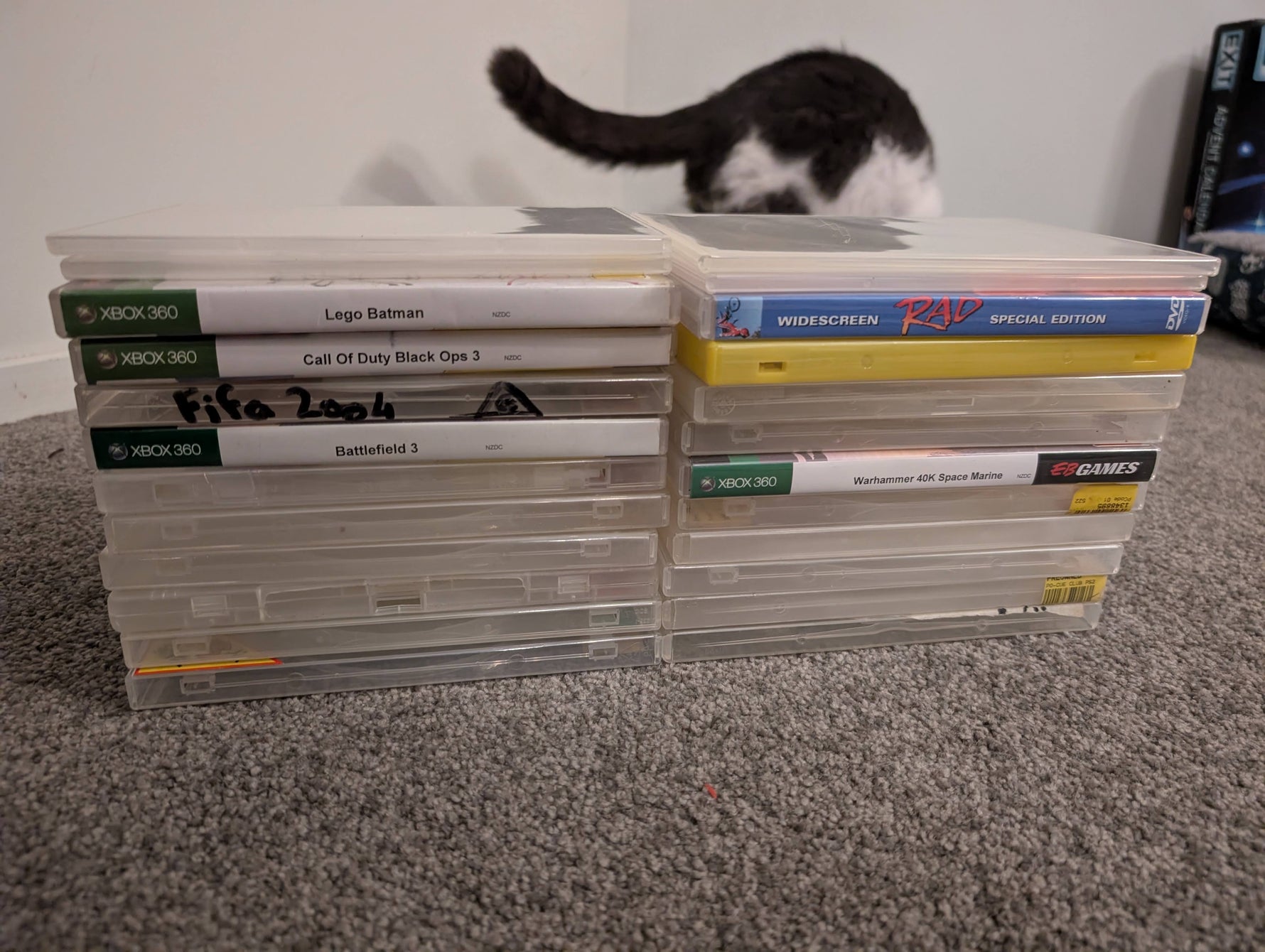 24 Clear DVD Cases